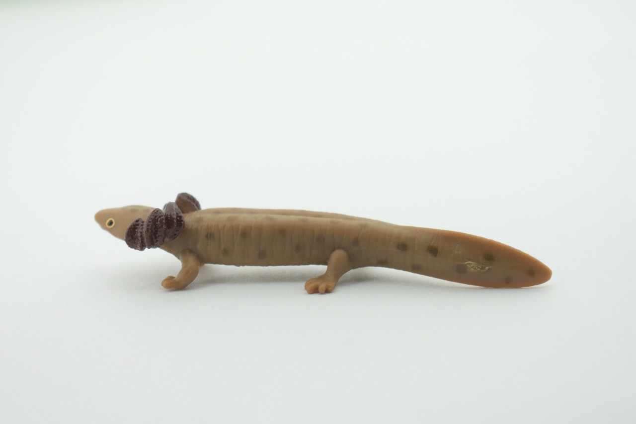 Mudpuppy, Common, Hand Painted, Educational, Rubber Salamander, Realistic Figure, Lifelike Model, Figurine, Replica, Gift,    3"     SF16 B31   