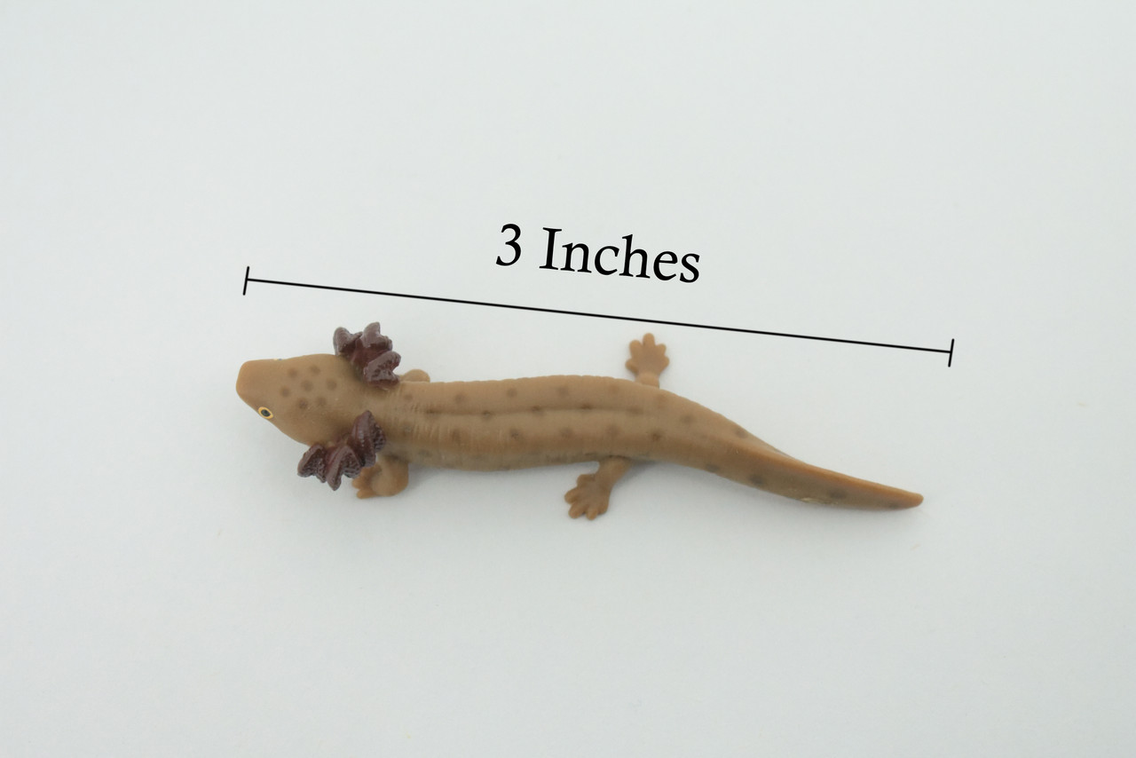 Mudpuppy, Common, Hand Painted, Educational, Rubber Salamander, Realistic Figure, Lifelike Model, Figurine, Replica, Gift,    3"     SF16 B31   