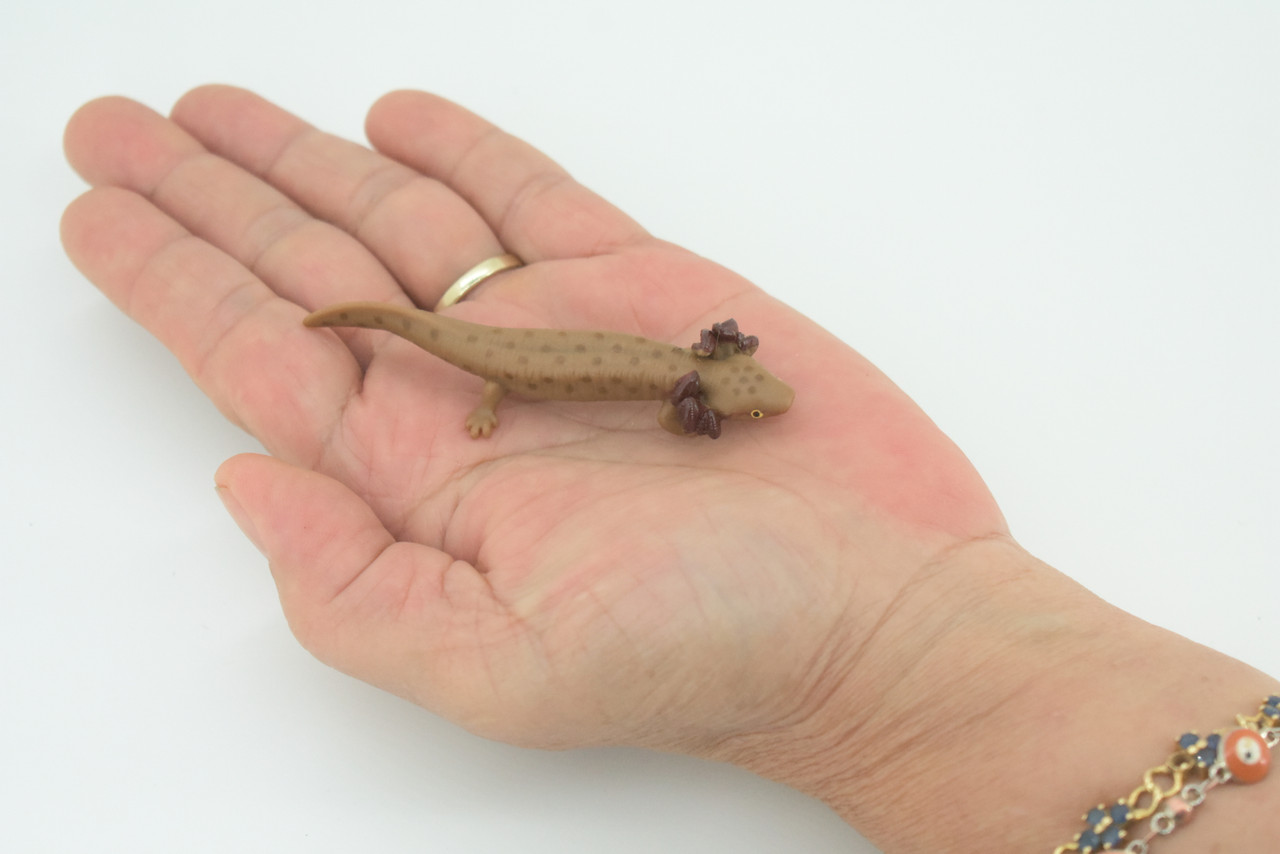Mudpuppy, Common, Hand Painted, Educational, Rubber Salamander, Realistic Figure, Lifelike Model, Figurine, Replica, Gift,    3"     SF16 B31   