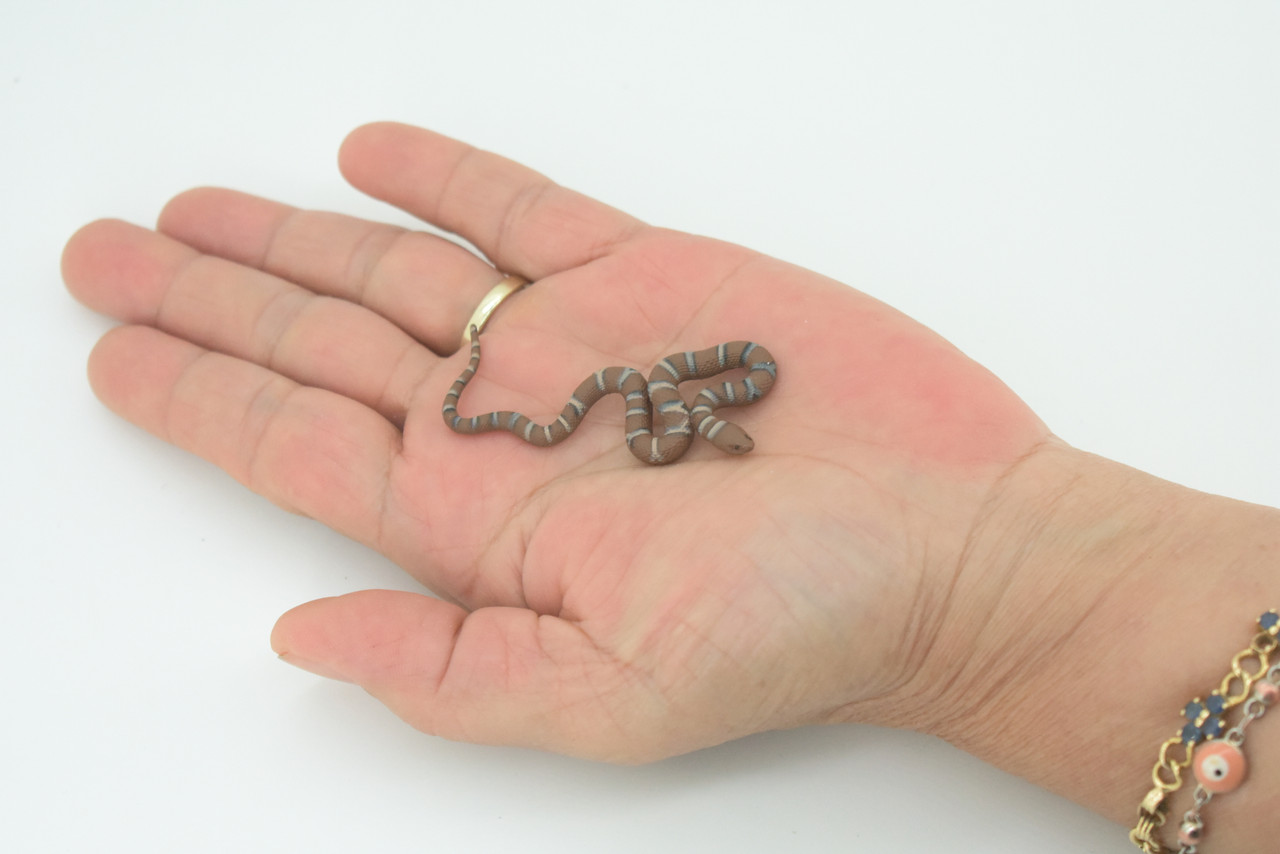 Water Snake, Hand Painted, Educational, Rubber Snake, Realistic Figure, Lifelike Model, Figurine, Replica, Gift,      2 1/2"    SF19 B31   