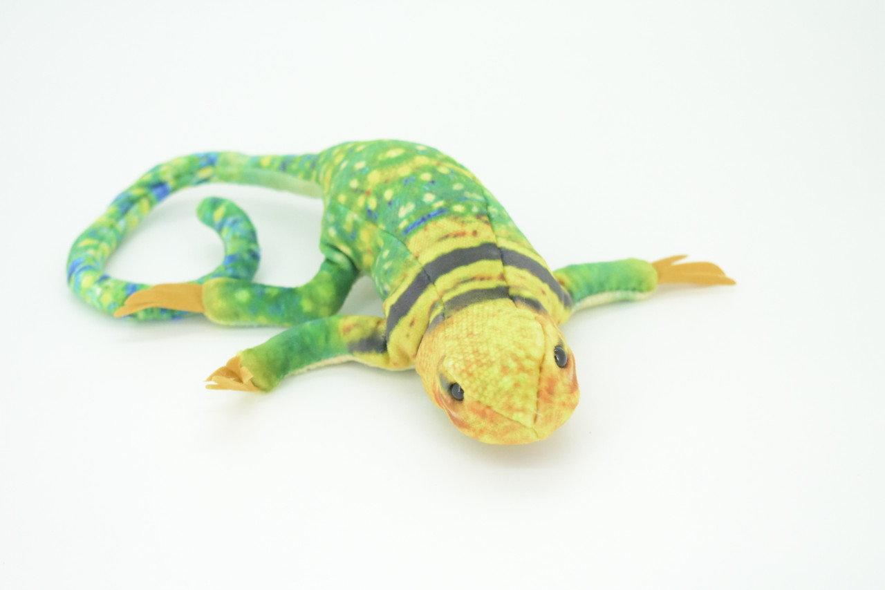 Lizard Finger Puppet, Very Nice Plush Collared Lizard, Stuffed Reptile, Educational, Realistic, Lifelike Model, Gift,    9"   FM05 B233