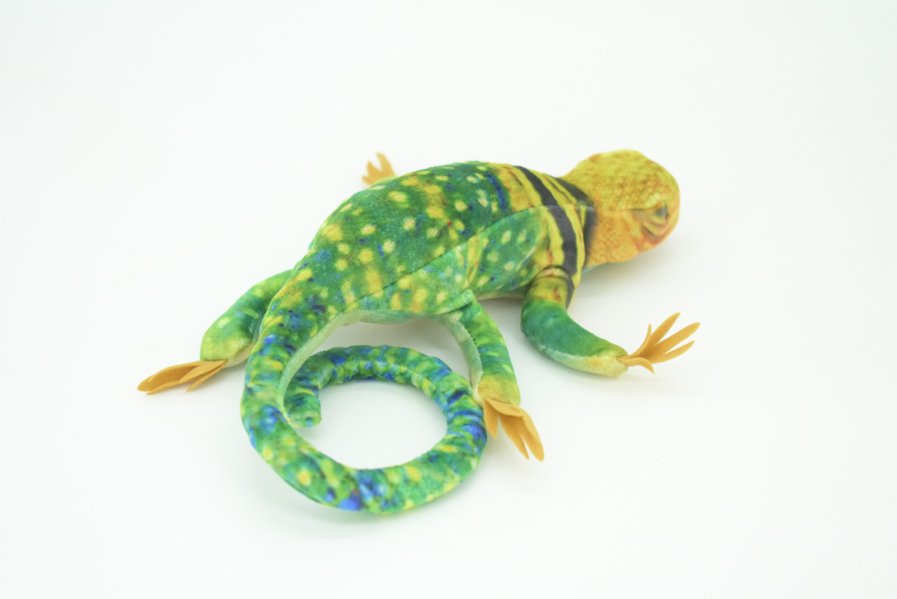 Lizard Finger Puppet, Very Nice Plush Collared Lizard, Stuffed Reptile, Educational, Realistic, Lifelike Model, Gift,    9"   FM05 B233