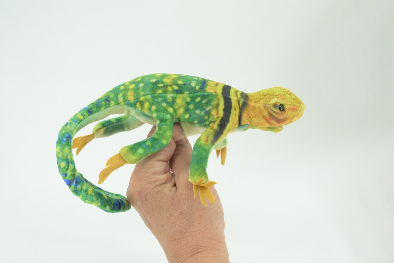 Lizard Finger Puppet, Very Nice Plush Collared Lizard, Stuffed Reptile, Educational, Realistic, Lifelike Model, Gift,    9"   FM05 B233