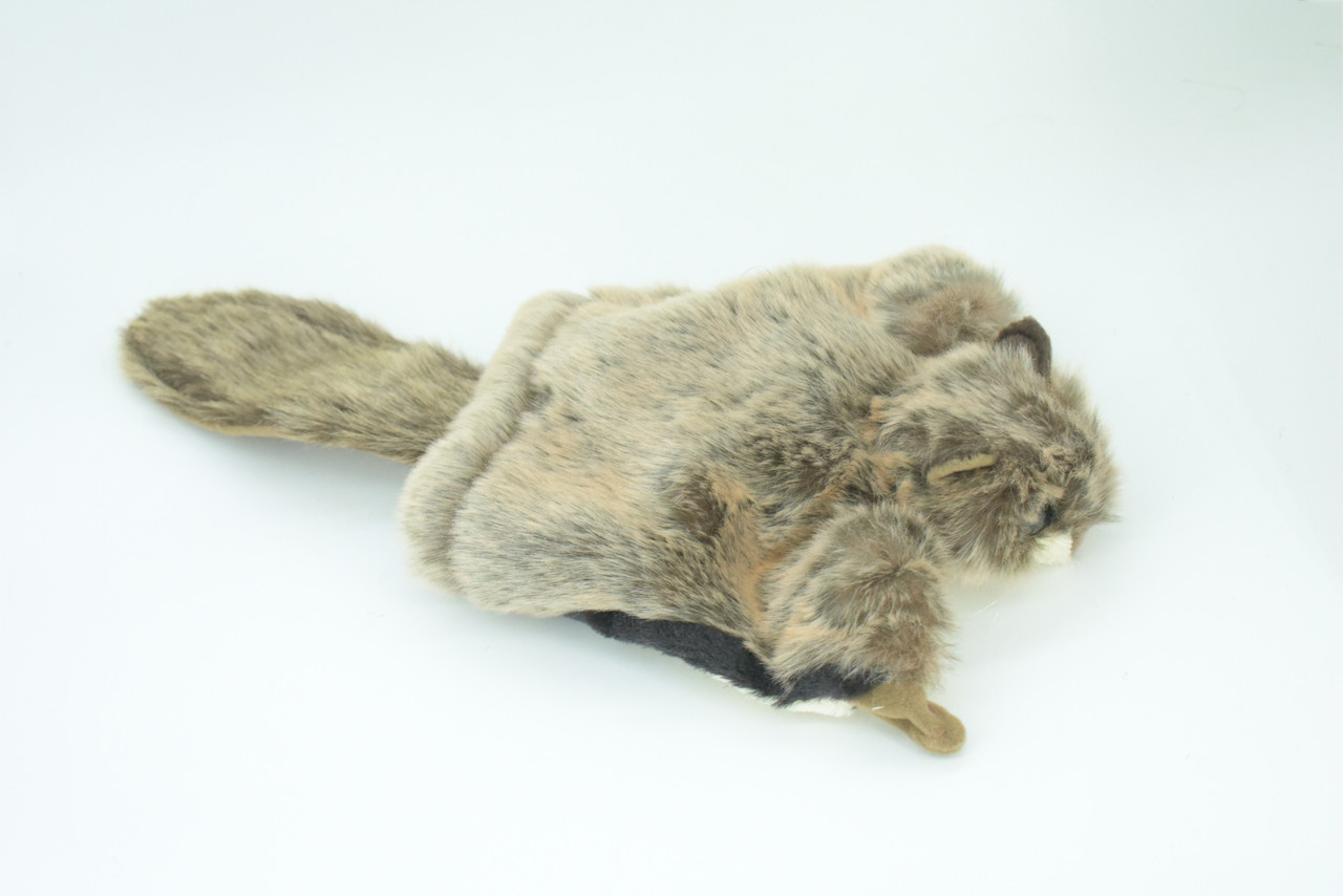 Flying Squirrel Hand Puppet, Full Body, Very Nice Plush Glider Squirrel, Educational, Realistic, Lifelike, Gift,     15"   FM36 B413