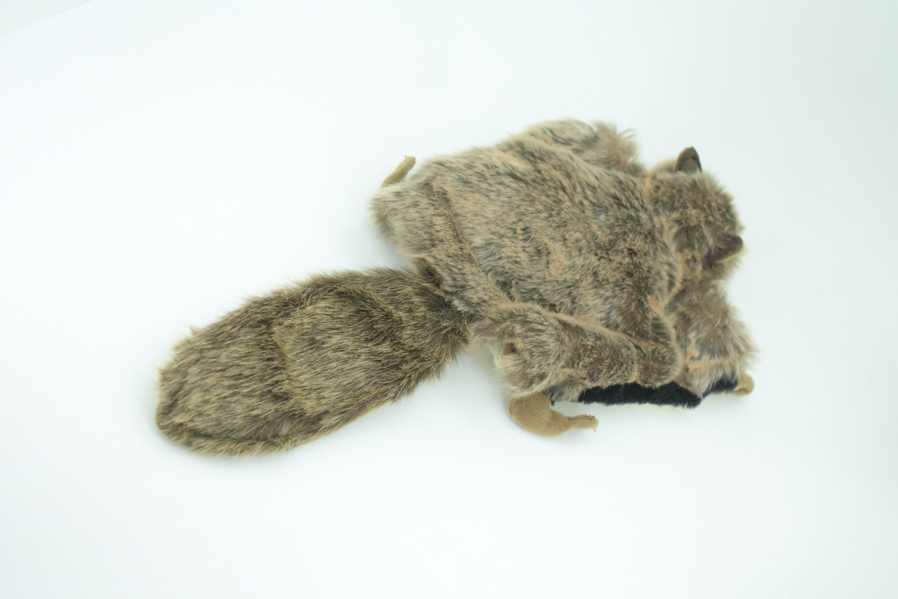 Flying Squirrel Hand Puppet, Full Body, Very Nice Plush Glider Squirrel, Educational, Realistic, Lifelike, Gift,     15"   FM36 B413