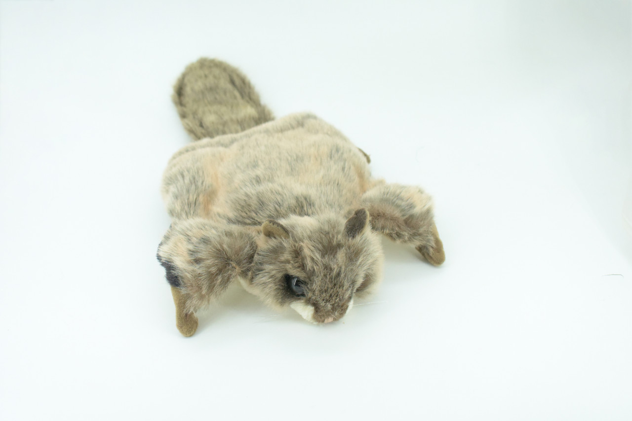 Flying Squirrel Hand Puppet, Full Body, Very Nice Plush Glider Squirrel, Educational, Realistic, Lifelike, Gift,     15"   FM36 B413