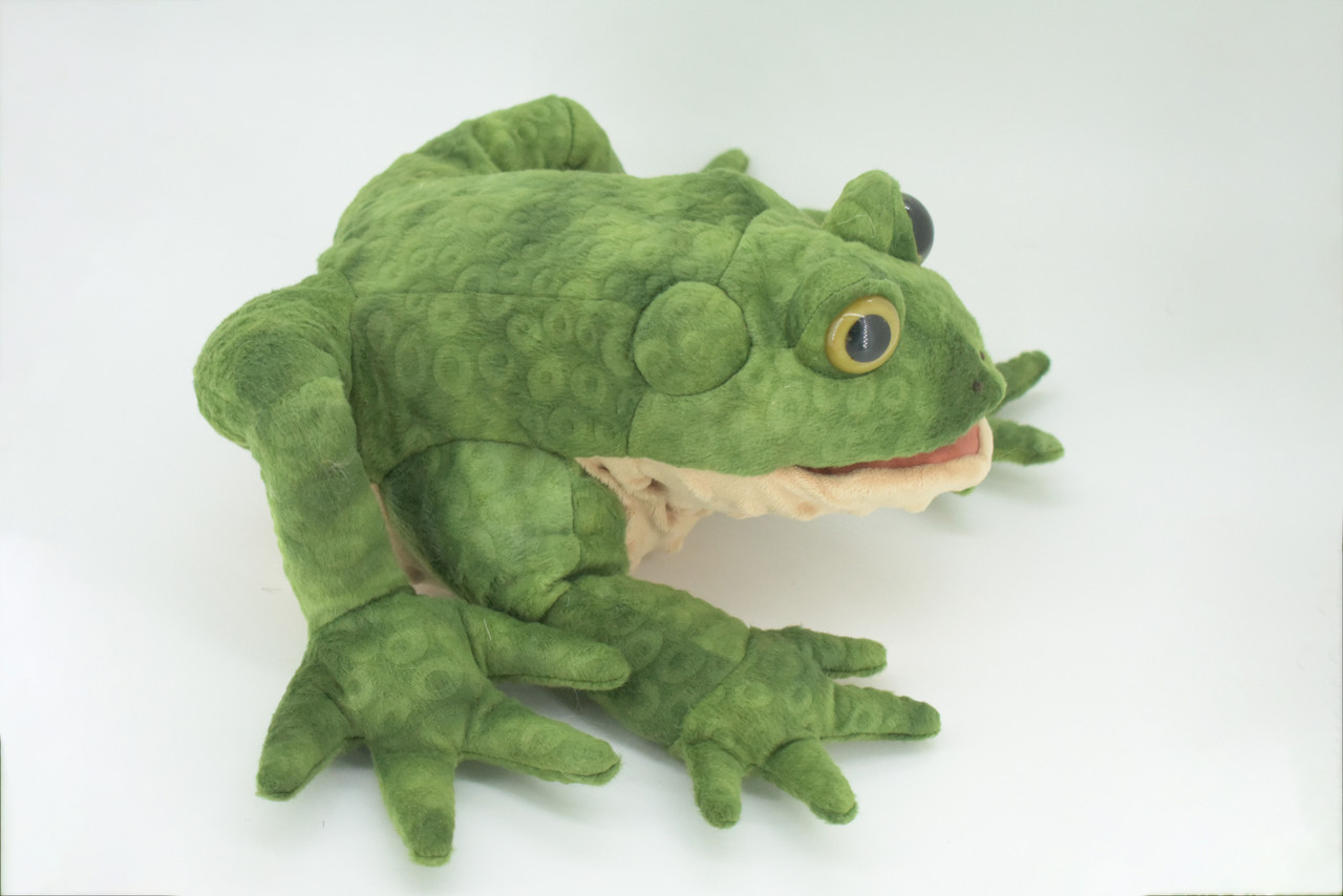 Frog Hand Puppet, Very Nice Plush Frog, Stuffed Amphibian Educational, Realistic, Lifelike Model, Gift,    18"   FM37 B415
