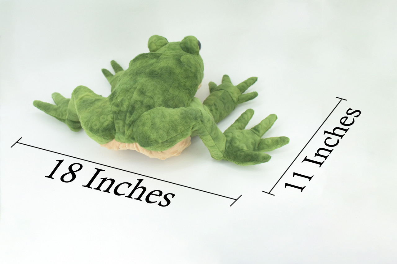 Frog Hand Puppet, Very Nice Plush Frog, Stuffed Amphibian Educational, Realistic, Lifelike Model, Gift,    18"   FM37 B415