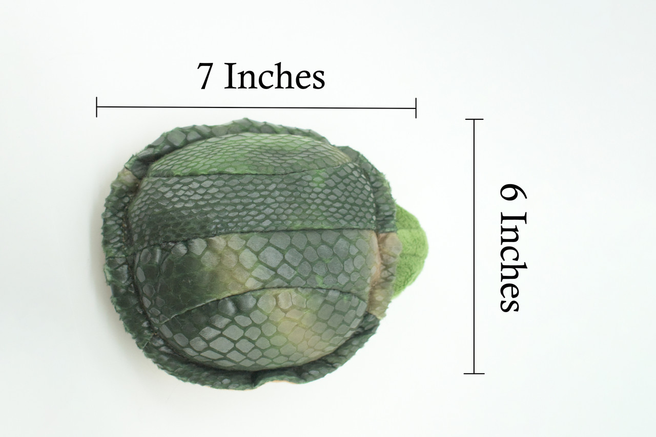 Turtle Hand Puppet, Very Nice Plush Tortoise, Stuffed Reptile, Educational, Realistic, Lifelike Model, Gift,    7"   FM23 B75