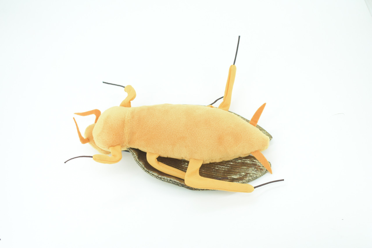 Cockroach, Palmetto bugs, Blattodea, Plush Roach Design, Educational, Figure, Replica, Gift,      8"   GM06 B87