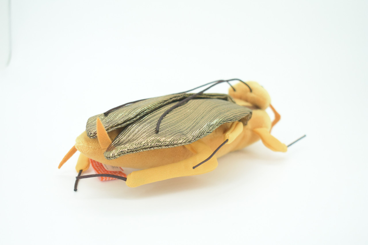 Cockroach, Palmetto bugs, Blattodea, Plush Roach Design, Educational, Figure, Replica, Gift,      8"   GM06 B87