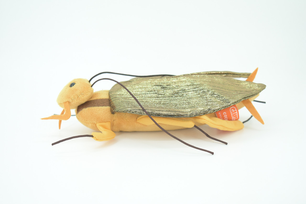 Cockroach, Palmetto bugs, Blattodea, Plush Roach Design, Educational, Figure, Replica, Gift,      8"   GM06 B87