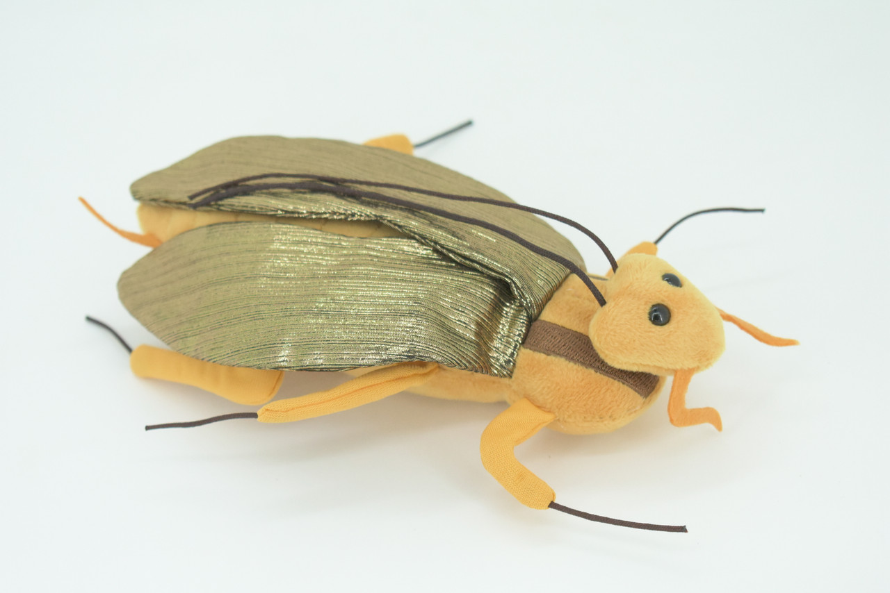 Cockroach, Palmetto bugs, Blattodea, Plush Roach Design, Educational, Figure, Replica, Gift,      8"   GM06 B87