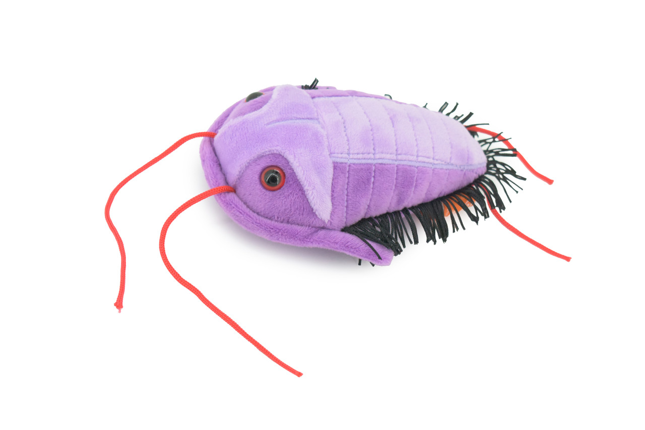 Trilobite Stuffed Animal Plush Toy