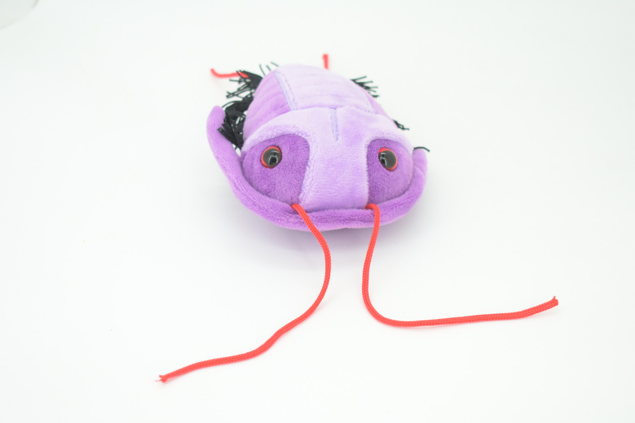 Trilobite, Asaphiscus wheeleri, Marine Arthropod, Fossil, Plush Design, Educational, Figure, Replica, Gift,    6"   GM03 B108