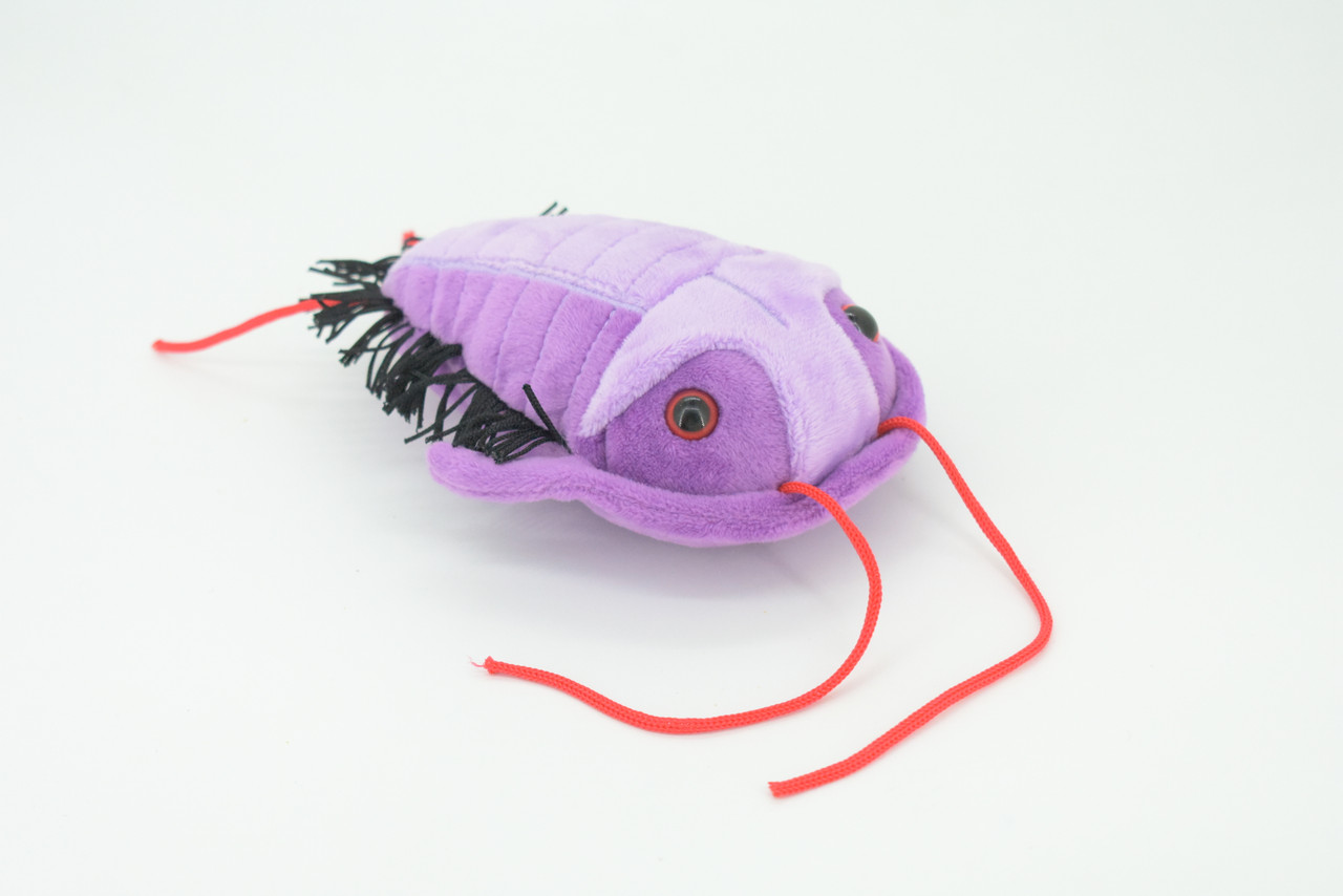 Trilobite, Asaphiscus wheeleri, Marine Arthropod, Fossil, Plush Design, Educational, Figure, Replica, Gift,    6"   GM03 B108
