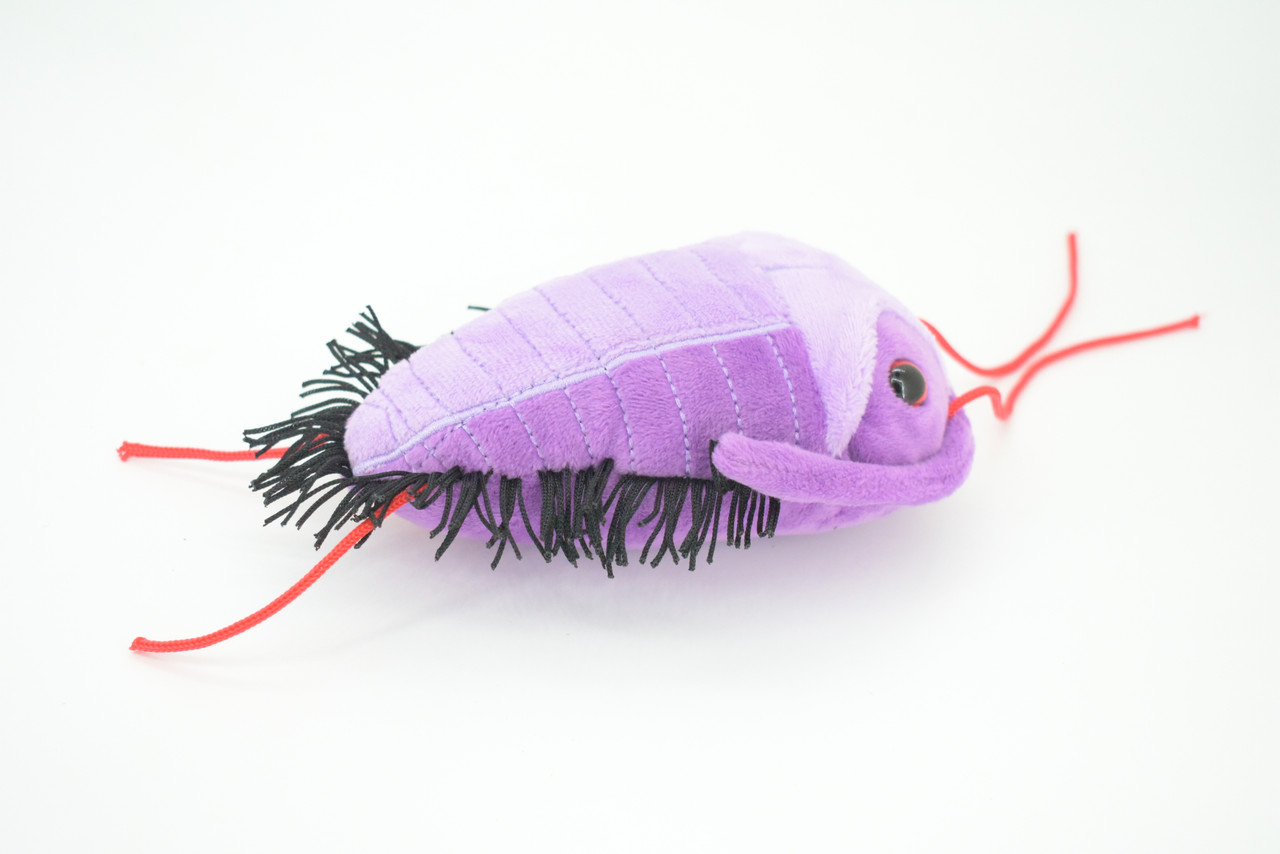 Trilobite, Asaphiscus wheeleri, Marine Arthropod, Fossil, Plush Design, Educational, Figure, Replica, Gift,    6"   GM03 B108