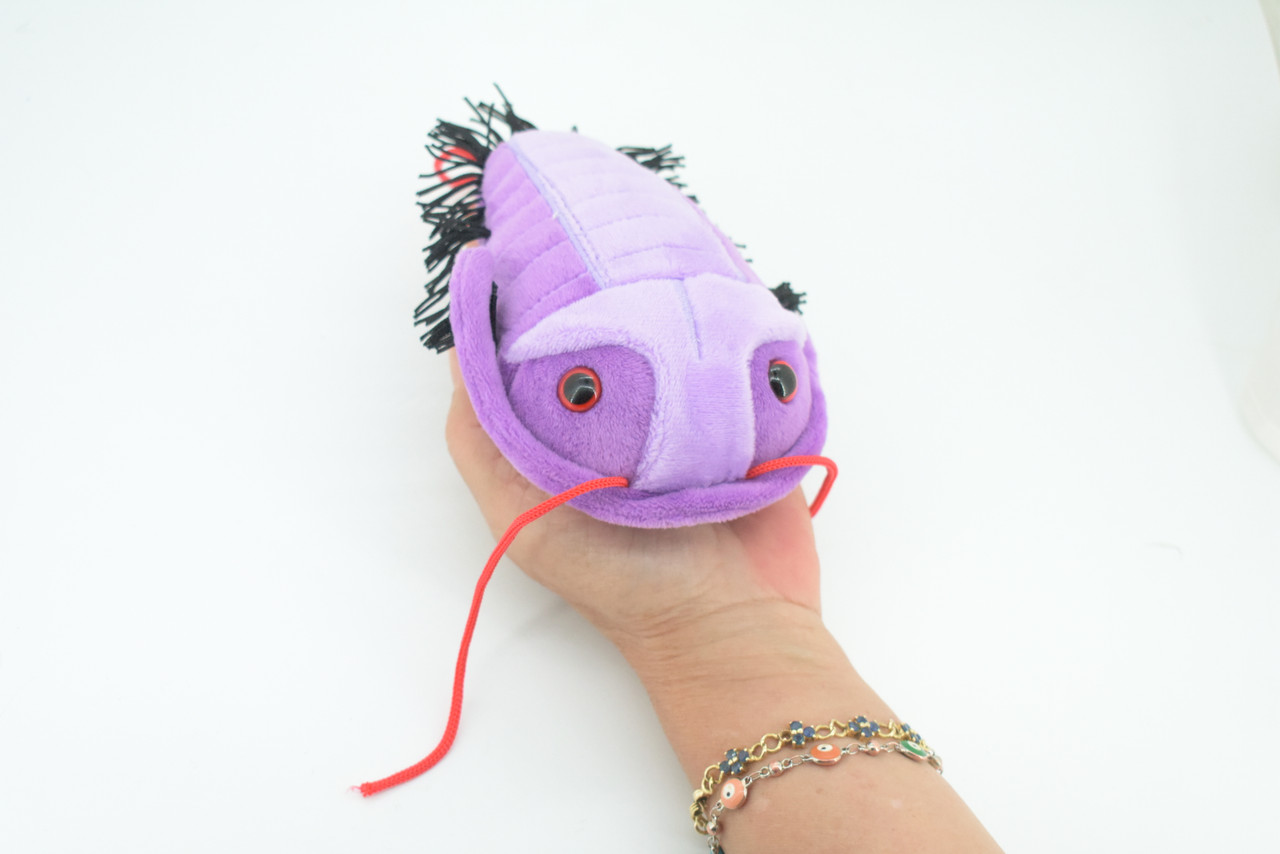 Trilobite, Asaphiscus wheeleri, Marine Arthropod, Fossil, Plush Design, Educational, Figure, Replica, Gift,    6"   GM03 B108