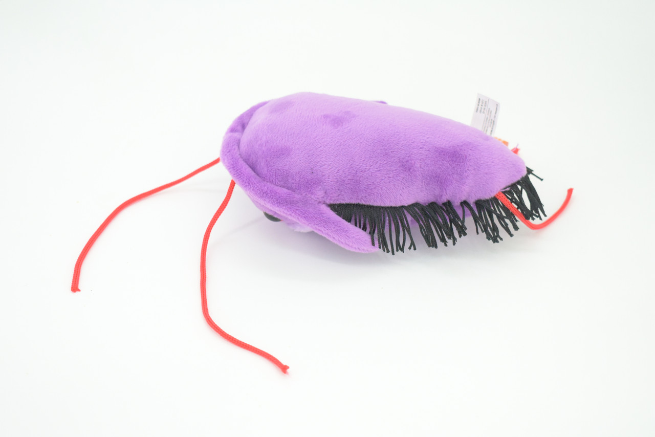 Trilobite, Asaphiscus wheeleri, Marine Arthropod, Fossil, Plush Design, Educational, Figure, Replica, Gift,    6"   GM03 B108