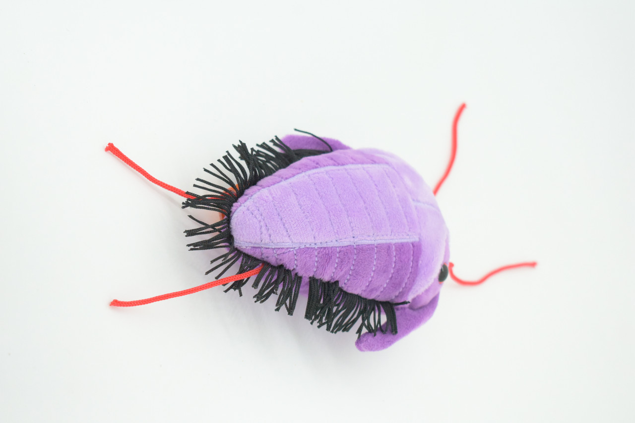 Trilobite, Asaphiscus wheeleri, Marine Arthropod, Fossil, Plush Design, Educational, Figure, Replica, Gift,    6"   GM03 B108