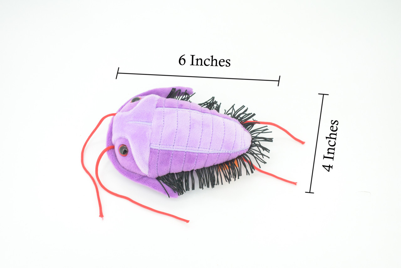 Trilobite, Asaphiscus wheeleri, Marine Arthropod, Fossil, Plush Design, Educational, Figure, Replica, Gift,    6"   GM03 B108