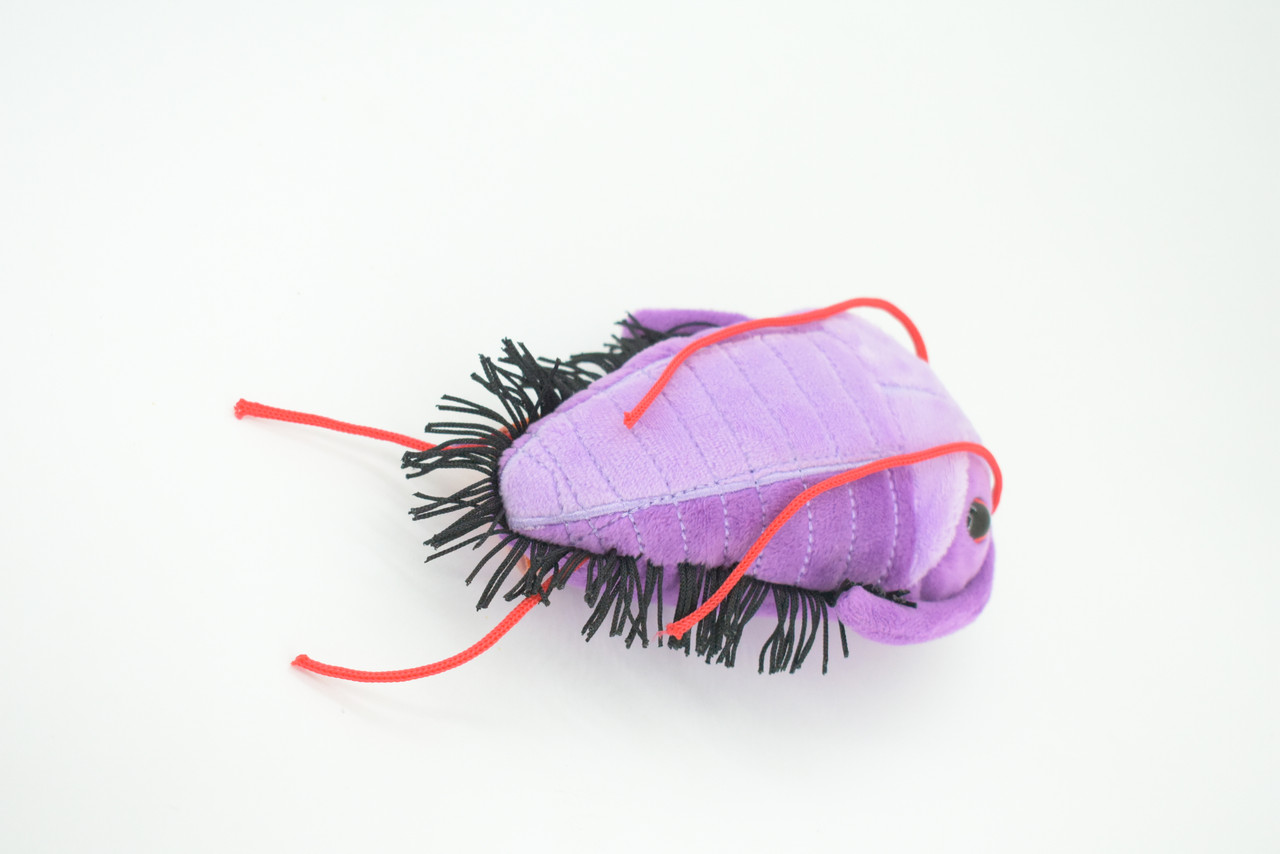 Trilobite, Asaphiscus wheeleri, Marine Arthropod, Fossil, Plush Design, Educational, Figure, Replica, Gift,    6"   GM03 B108