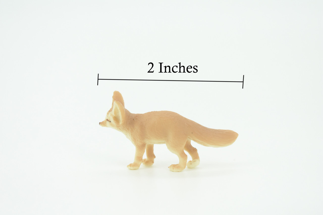 Fennec Fox, Vulpes zerda, Desert Fox, Hand Painted, Educational, Rubber, Realistic Figure, Lifelike Model, Replica, Gift,    2"   SF22 B45