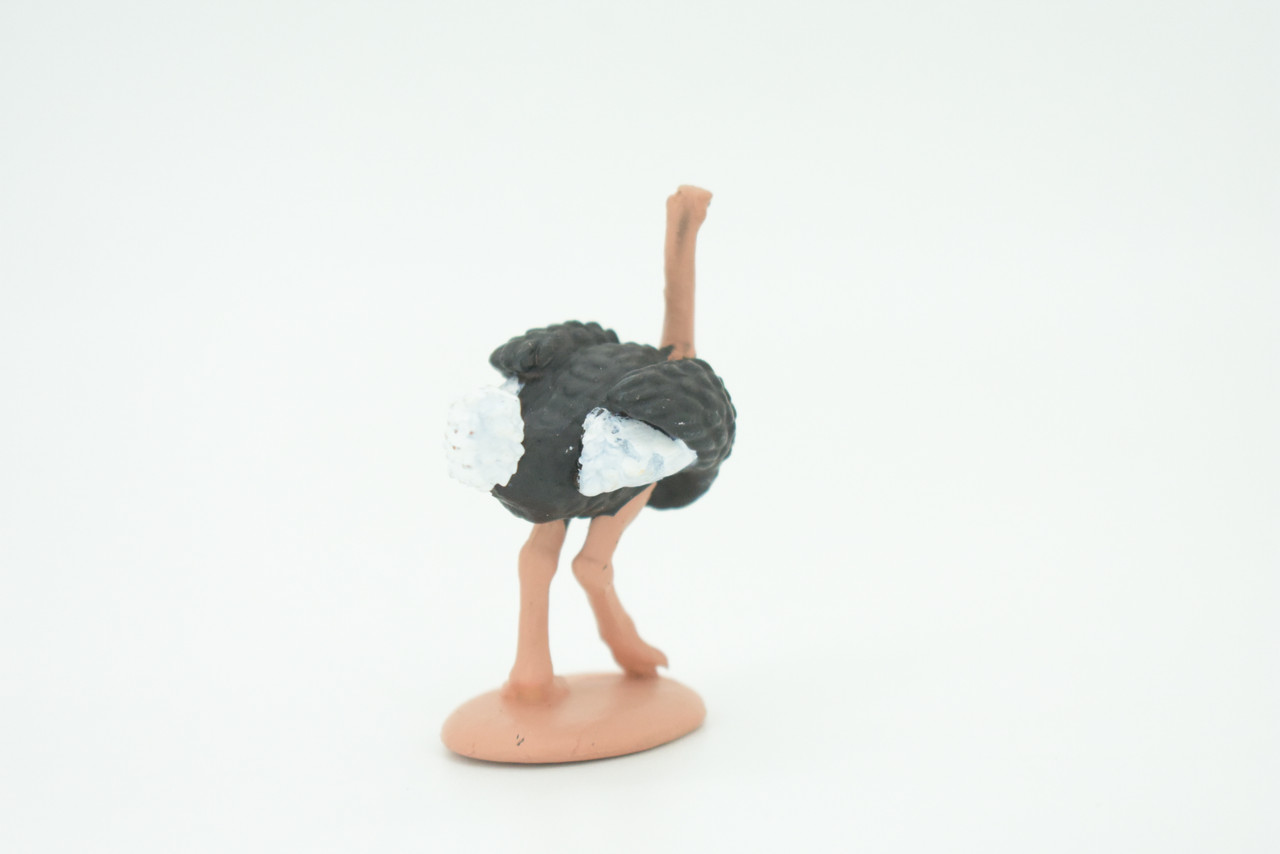 Ostrich, Flightless Wonder, Struthio camelus, Hand Painted, Educational, Rubber Bird, Realistic Figure, Lifelike Model, Gift,    2 1/2"   SF25 B45