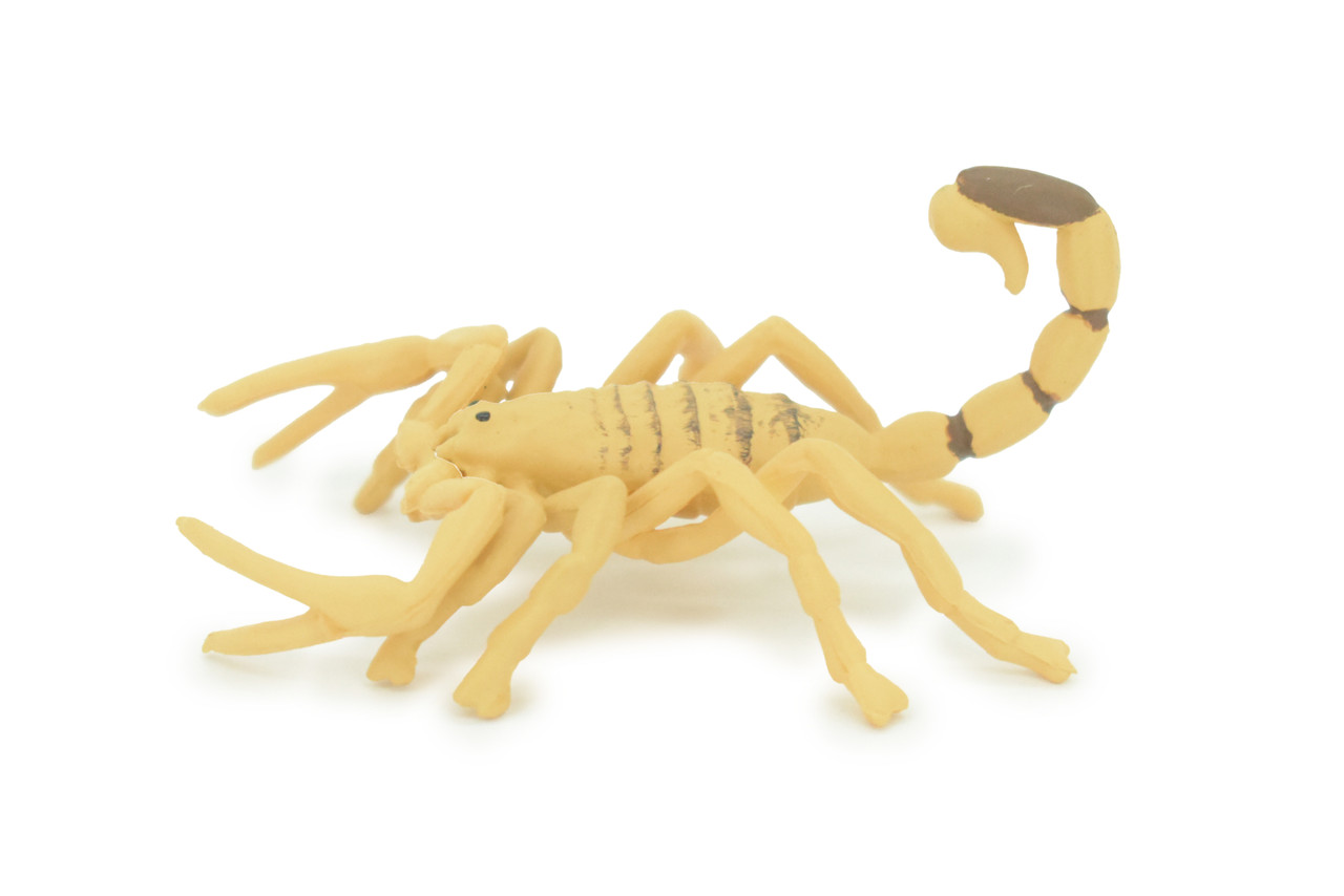 Scorpion Toy Model