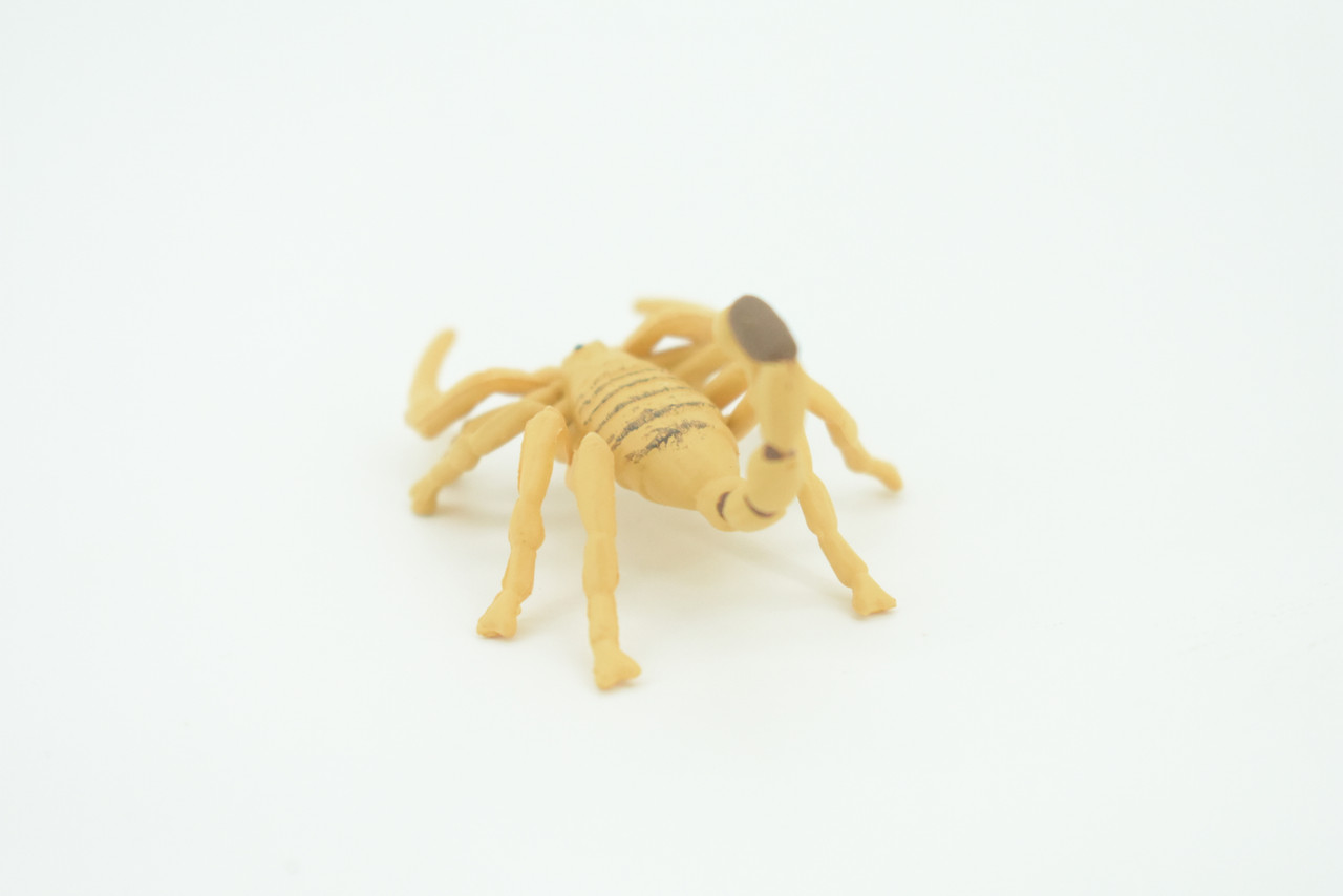 Scorpion, Desert Arachnid, Deathstalker, Hand Painted, Educational, Rubber, Realistic Figure, Lifelike Model, Gift,         2 "   SF26 B45