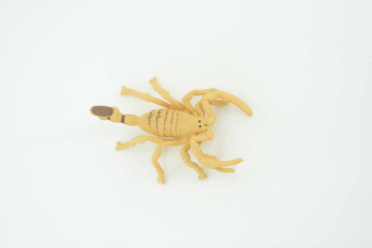 Scorpion, Desert Arachnid, Deathstalker, Hand Painted, Educational, Rubber, Realistic Figure, Lifelike Model, Gift,         2 "   SF26 B45