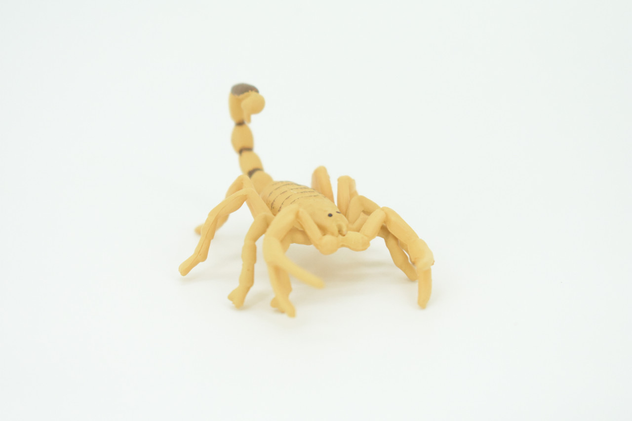 Scorpion, Desert Arachnid, Deathstalker, Hand Painted, Educational, Rubber, Realistic Figure, Lifelike Model, Gift,         2 "   SF26 B45