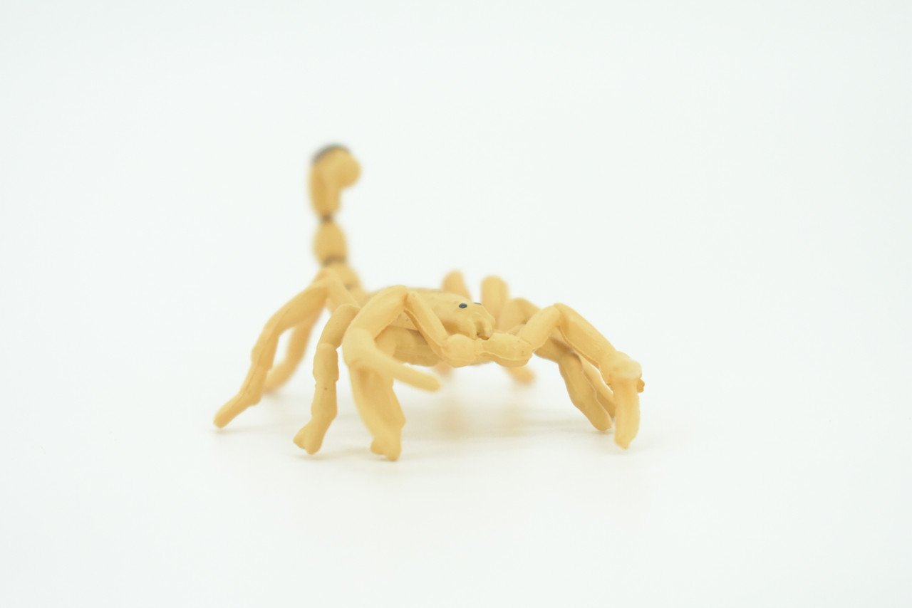 Scorpion, Desert Arachnid, Deathstalker, Hand Painted, Educational, Rubber, Realistic Figure, Lifelike Model, Gift,         2 "   SF26 B45