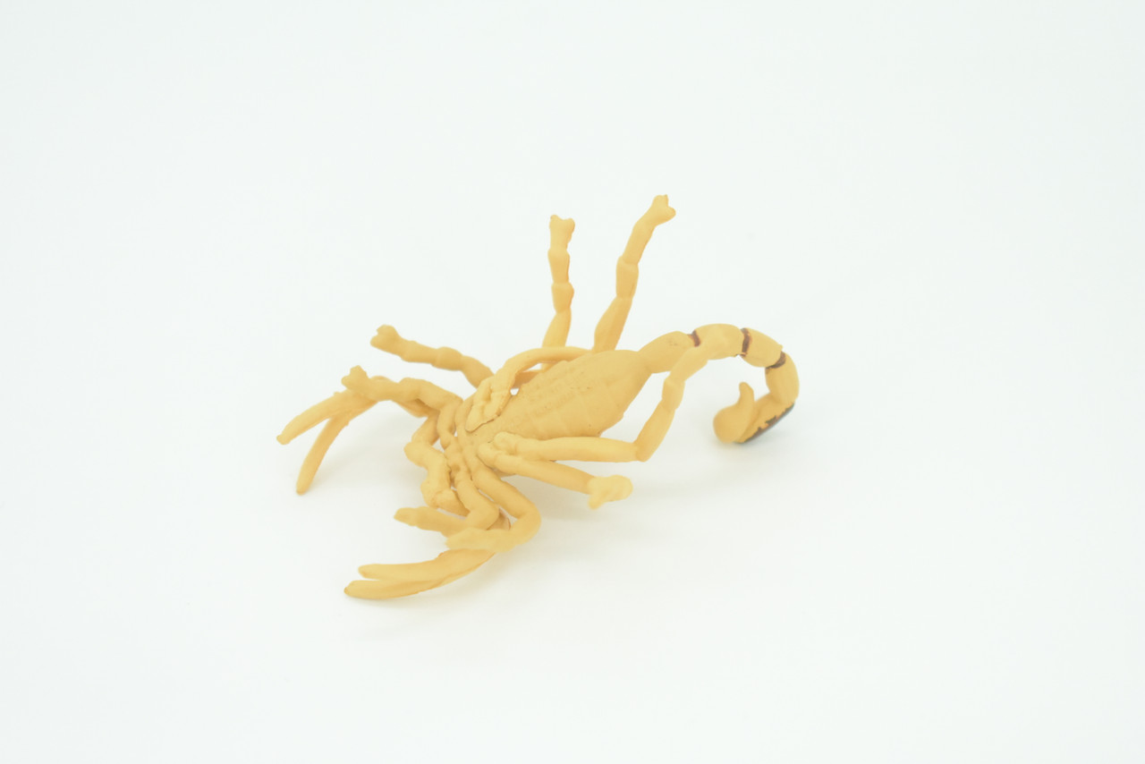 Scorpion, Desert Arachnid, Deathstalker, Hand Painted, Educational, Rubber, Realistic Figure, Lifelike Model, Gift,         2 "   SF26 B45