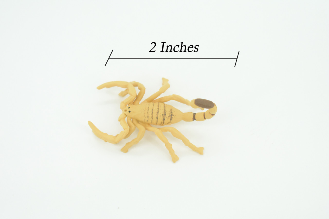 Scorpion, Desert Arachnid, Deathstalker, Hand Painted, Educational, Rubber, Realistic Figure, Lifelike Model, Gift,         2 "   SF26 B45