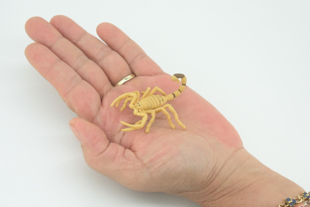 Scorpion, Desert Arachnid, Deathstalker, Hand Painted, Educational, Rubber, Realistic Figure, Lifelike Model, Gift,         2 "   SF26 B45