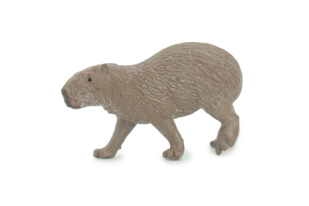 Capybara Toy Model