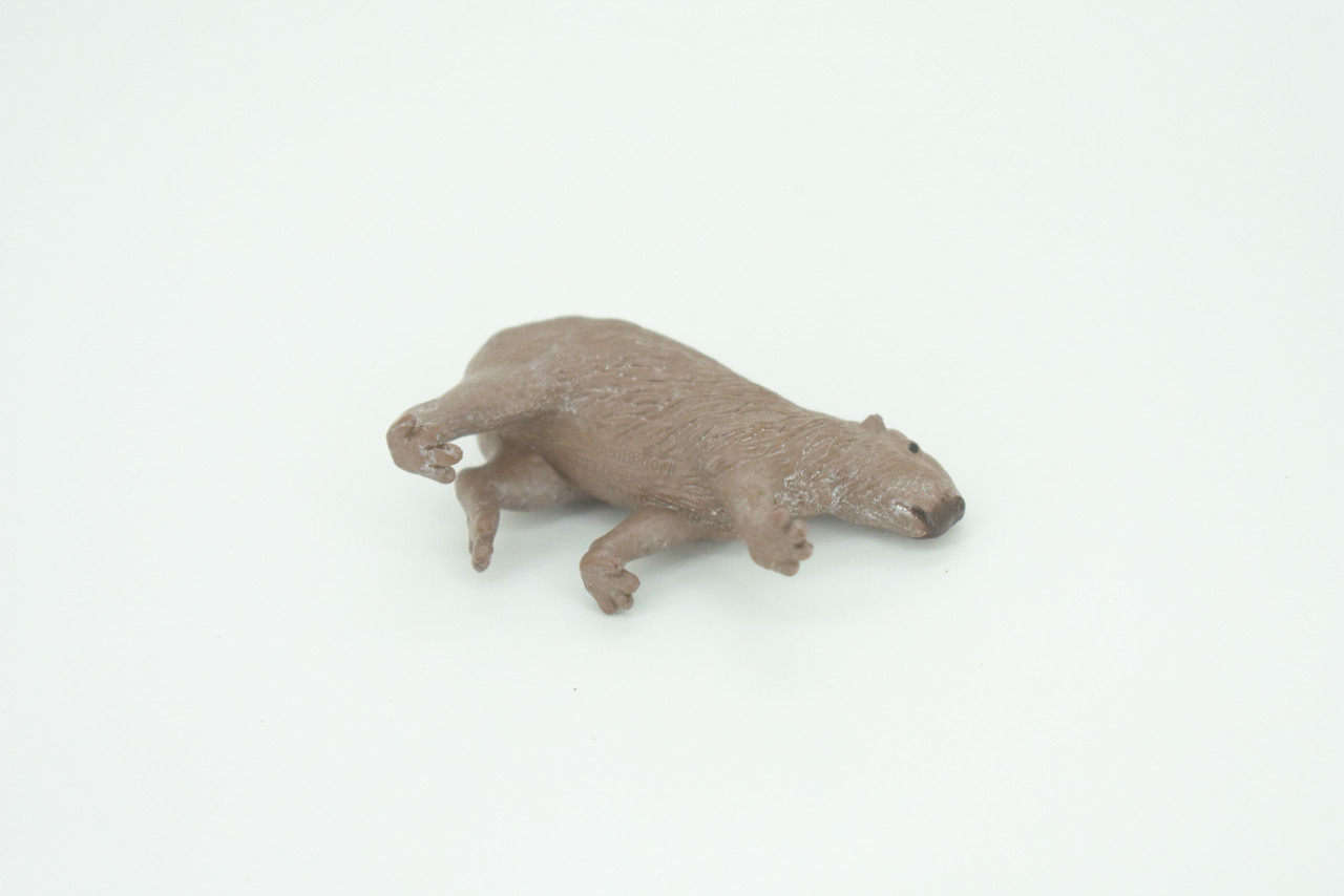 Capybara, Water pig, Capy, Hydrochoerus hydrochaeris, Hand Painted, Educational, Rubber Animal, Realistic Figure, Lifelike, Gift,    2"    SF36 B44