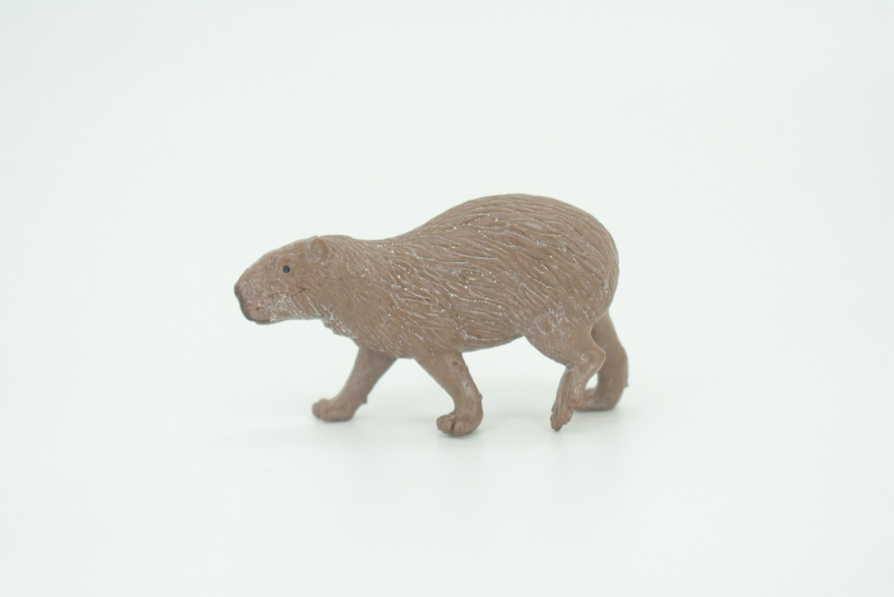 Capybara, Water pig, Capy, Hydrochoerus hydrochaeris, Hand Painted, Educational, Rubber Animal, Realistic Figure, Lifelike, Gift,    2"    SF36 B44
