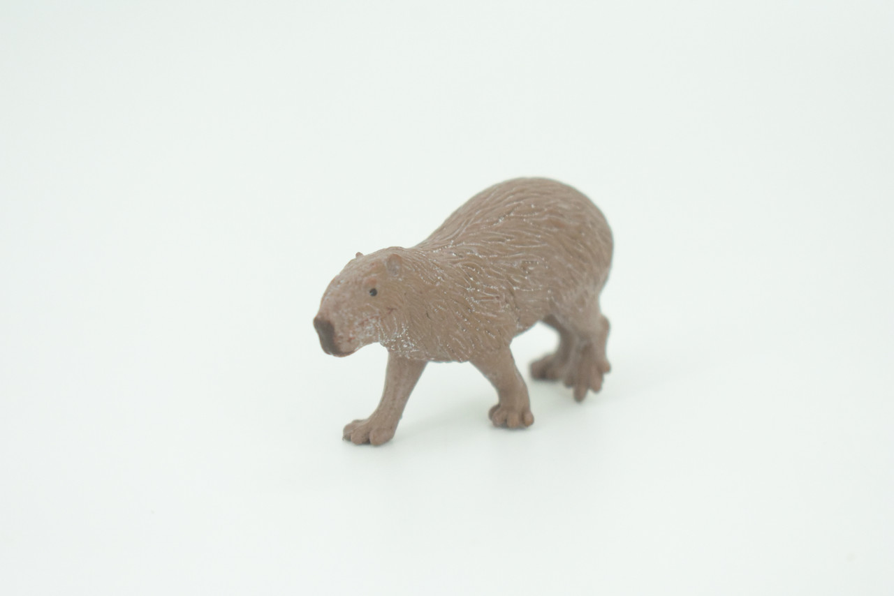 Capybara, Water pig, Capy, Hydrochoerus hydrochaeris, Hand Painted, Educational, Rubber Animal, Realistic Figure, Lifelike, Gift,    2"    SF36 B44