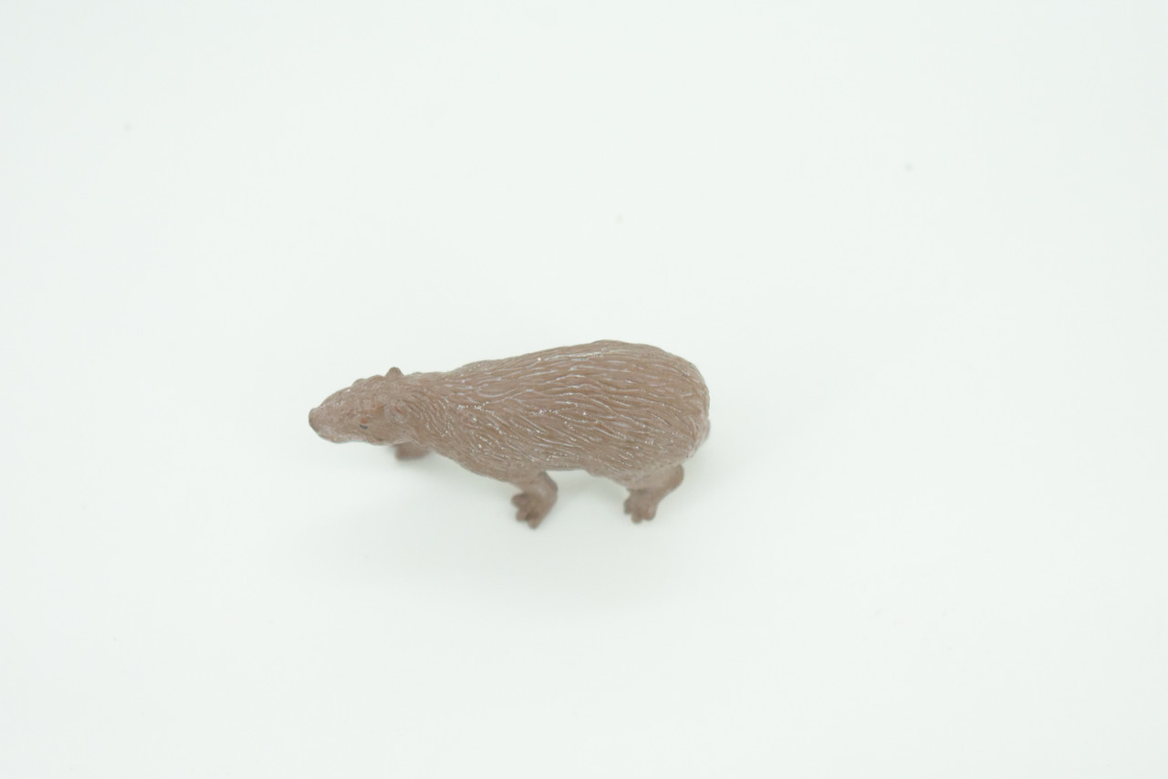 Capybara, Water pig, Capy, Hydrochoerus hydrochaeris, Hand Painted, Educational, Rubber Animal, Realistic Figure, Lifelike, Gift,    2"    SF36 B44