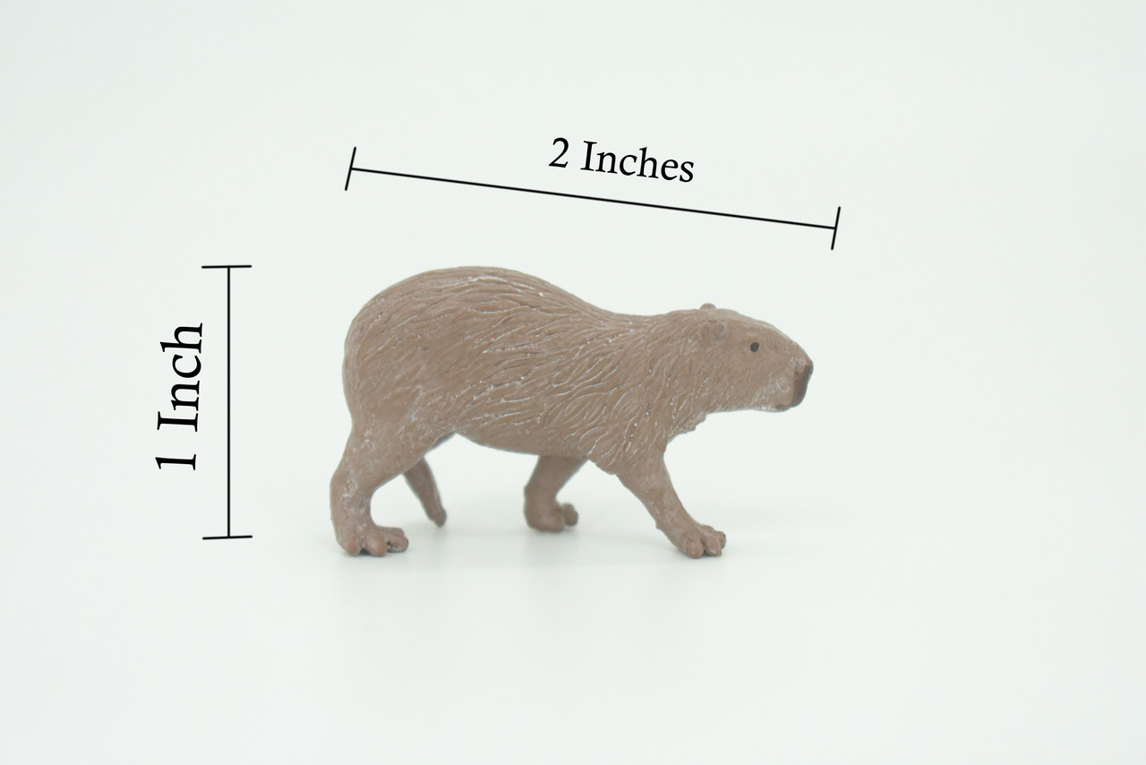 Capybara, Water pig, Capy, Hydrochoerus hydrochaeris, Hand Painted, Educational, Rubber Animal, Realistic Figure, Lifelike, Gift,    2"    SF36 B44