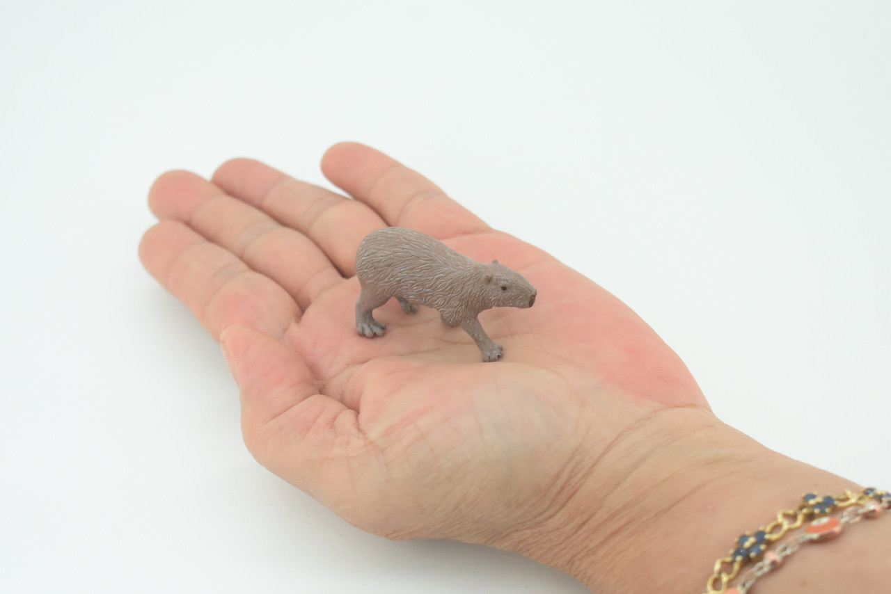 Capybara, Water pig, Capy, Hydrochoerus hydrochaeris, Hand Painted, Educational, Rubber Animal, Realistic Figure, Lifelike, Gift,    2"    SF36 B44