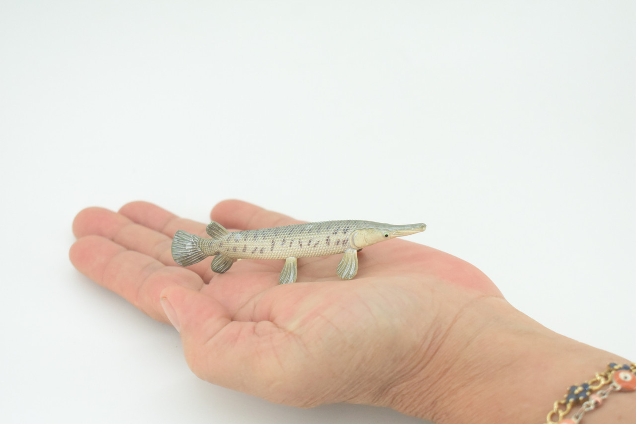 Alligator Gar, Gator Gar, Alligator Pike, Gar Pike, Hand Painted, Educational, Rubber Fish, Realistic Figure, Lifelike, Gift,    3 1/2"    SF39 B15