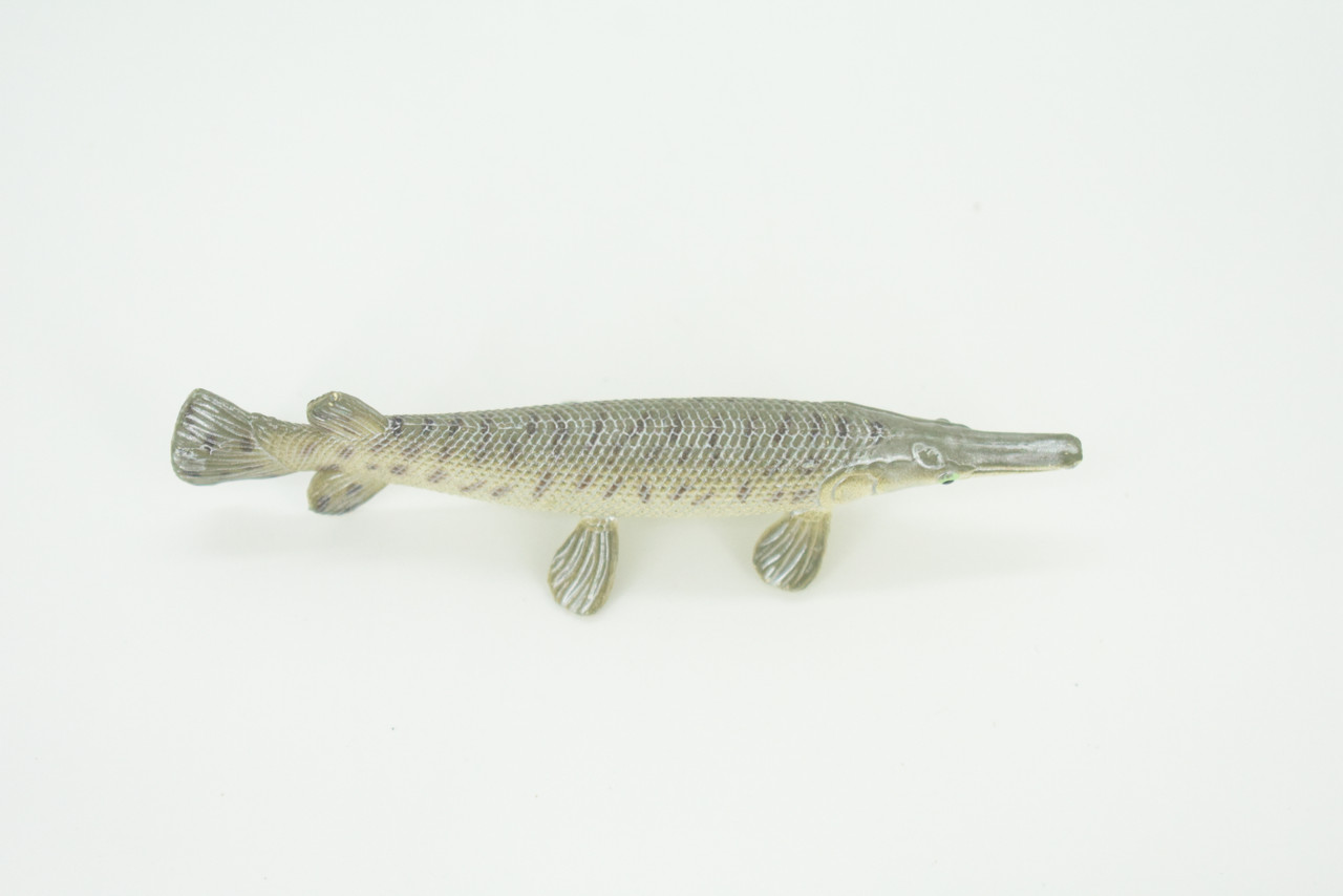 Alligator Gar, Gator Gar, Alligator Pike, Gar Pike, Hand Painted, Educational, Rubber Fish, Realistic Figure, Lifelike, Gift,    3 1/2"    SF39 B15