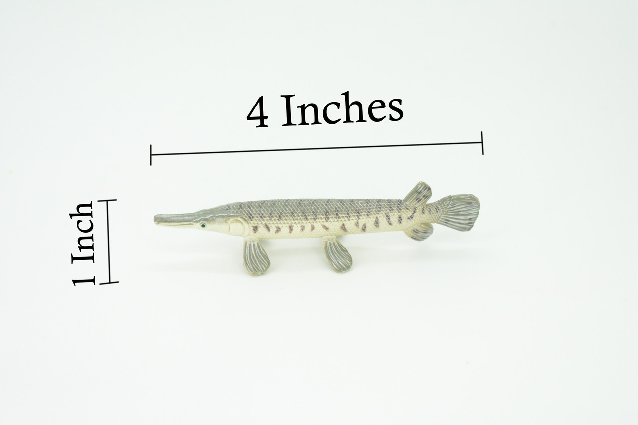 Alligator Gar, Gator Gar, Alligator Pike, Gar Pike, Hand Painted, Educational, Rubber Fish, Realistic Figure, Lifelike, Gift,    3 1/2"    SF39 B15