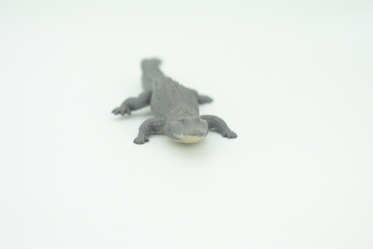 American Alligator, Alligator mississippiensis, Hand Painted, Educational, Rubber Reptile, Realistic Figure, Lifelike, Gift,    4"    SF40 B15 