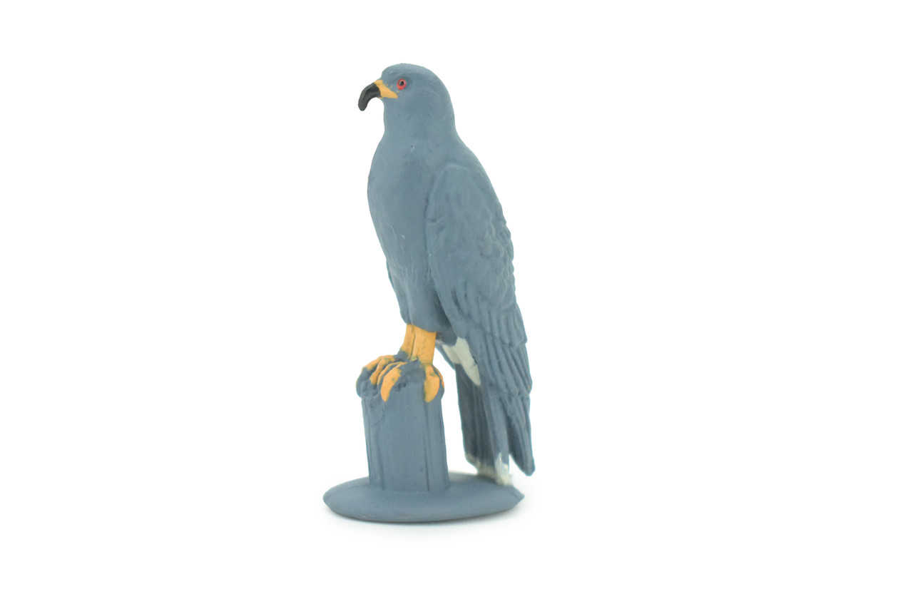 Snail Kite Toy Model