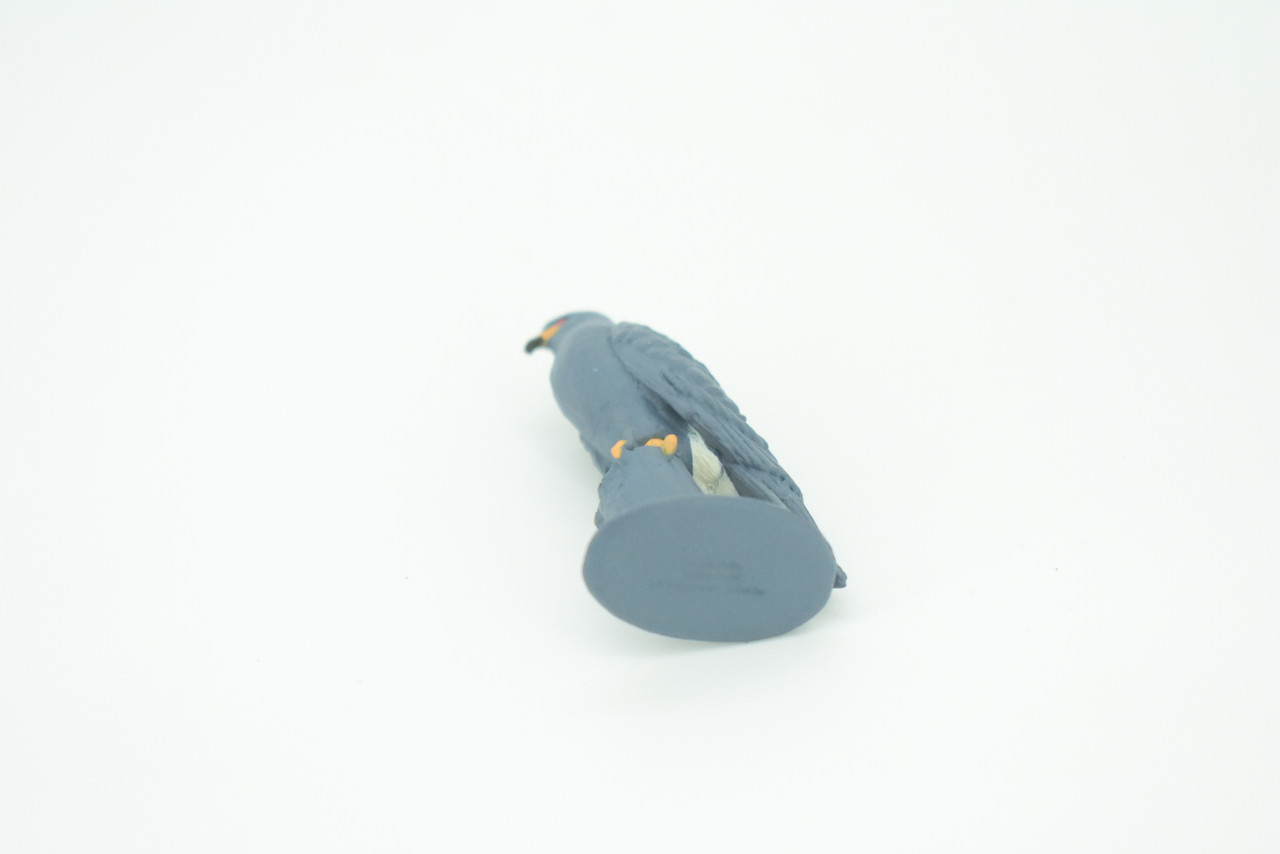 Snail Kite, Rostrhamus sociabilis, Snail-eating Hawk, Hand Painted, Educational, Rubber Bird, Realistic Figure, Lifelike, Gift,   2"    SF43 B15 
