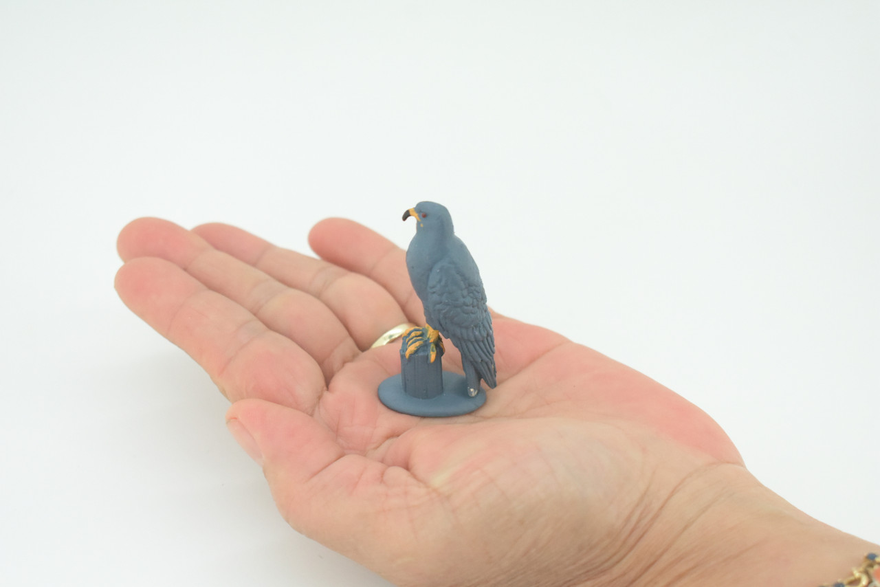 Snail Kite, Rostrhamus sociabilis, Snail-eating Hawk, Hand Painted, Educational, Rubber Bird, Realistic Figure, Lifelike, Gift,   2"    SF43 B15 